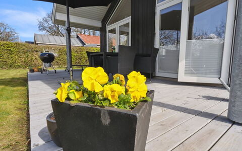 Gunholm - 150M from the Sea: Blau, Strauch, Hütte, Ground, Garten, Estate, Schatten, Landscaping, Bauernhaus, Eco Hotel