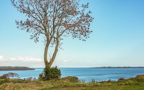 Boris - 500M from the Sea: Wohngebiet, Dach, Vorort, Auffahrt, Estate, Kamin