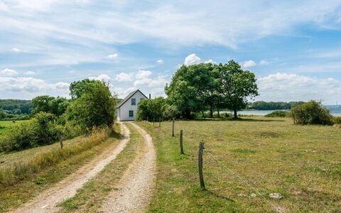 Jeppe - 50M to the Fjord: Grün, Gras, Natur, Natürliche Landschaft, Vegetation, Wiese, Landschaft, Ländliches Gebiet, Grundstueck