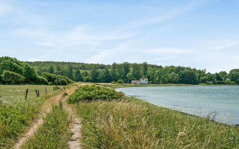 Jeppe - 50M to the Fjord: Wasser, Wasservorräte, Grün, Gewässer, Natürlichen Umgebung, Natürliche Landschaft, Vegetation, Wasserlauf, Wasserweg