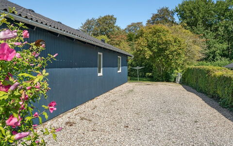 Farnke - 600M from the Sea: Pflanzengemeinschaft, Sonnenlicht, Krautige Pflanze, Garten, Plantage, Landwirtschaft, Bauernhof