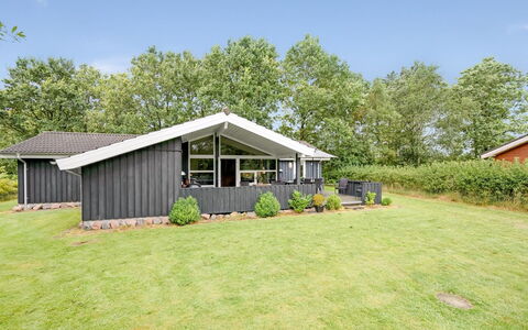 Gurly - 25Km from the Sea: Pflanzengemeinschaft, Sonnenlicht, Krautige Pflanze, Garten, Plantage, Landwirtschaft, Bauernhof