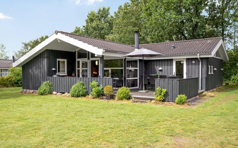 Gurly - 25Km from the Sea: Pflanzengemeinschaft, Sonnenlicht, Krautige Pflanze, Garten, Plantage, Landwirtschaft, Bauernhof