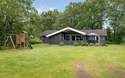 Gurly - 25Km from the Sea: Pflanzengemeinschaft, Sonnenlicht, Krautige Pflanze, Garten, Plantage, Landwirtschaft, Bauernhof