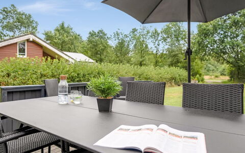 Gurly - 25Km from the Sea: Pflanzengemeinschaft, Sonnenlicht, Krautige Pflanze, Garten, Plantage, Landwirtschaft, Bauernhof