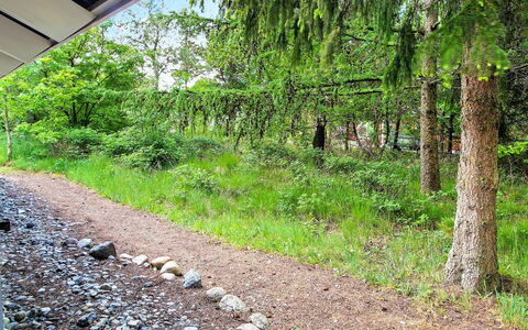 Frederikke - 28Km from the Sea: Grün, Strauch, Pflanzengemeinschaft, Ground, Weg, Boden, Garten, Wald, Dschungel, Immergrün