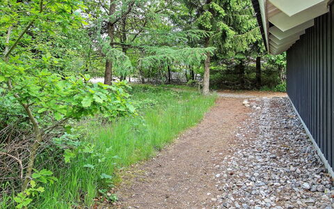 Frederikke - 28Km from the Sea: Blatt, Vegetation, Strauch, Ground, Schatten, Frühling, Garten, Gehölz, Sonnenlicht, Landscaping