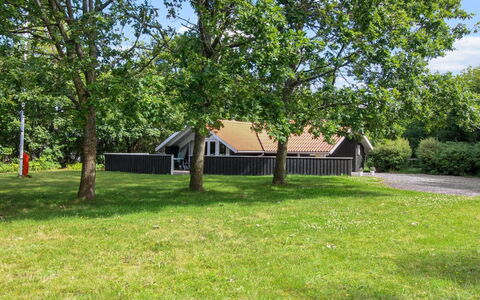Carlotta - 12Km from the Sea: Dach, Haus, Grundstueck, Zuhause, Hütte, Estate, Gartenbauten, Schatten, Blockhaus, Landscaping