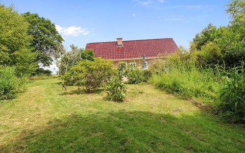 Malene - 700M to the Fjord: Dach, Haus, Zuhause, Hütte, Abstellgleis, Estate, Auffahrt, Gartenbauten, Garten, Schuppen