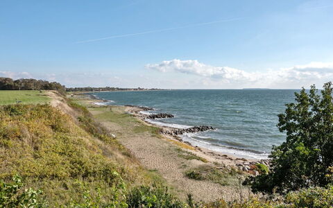 Orsa - 80M from the Sea: Pflanzengemeinschaft, Sonnenlicht, Krautige Pflanze, Garten, Plantage, Landwirtschaft, Bauernhof