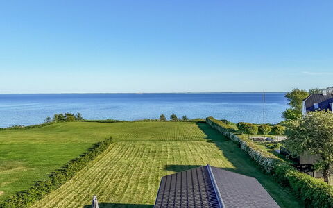 Orsa - 80M from the Sea: Pflanzengemeinschaft, Sonnenlicht, Krautige Pflanze, Garten, Plantage, Landwirtschaft, Bauernhof
