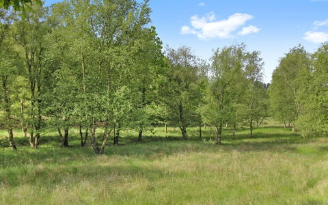 Terese - 45Km from the Sea: Pflanzengemeinschaft, Sonnenlicht, Krautige Pflanze, Garten, Plantage, Landwirtschaft, Bauernhof