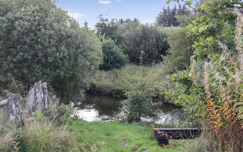 Terese - 45Km from the Sea: Pflanzengemeinschaft, Sonnenlicht, Krautige Pflanze, Garten, Plantage, Landwirtschaft, Bauernhof