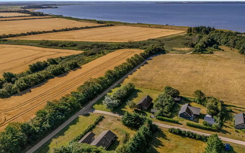 Engeline - 300M to the Fjord: Grün, Natürliche Landschaft, Landschaft, Vogelperspektive, Einfach, Luftaufnahmen, Ökoregion, Feld, Grundstueck, Plantage