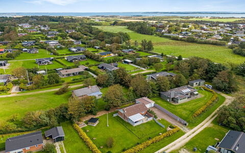 Tuki - 700M to the Fjord: Pflanzengemeinschaft, Sonnenlicht, Krautige Pflanze, Garten, Plantage, Landwirtschaft, Bauernhof