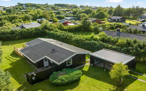 Matilde - 400M to the Fjord: Pflanzengemeinschaft, Sonnenlicht, Krautige Pflanze, Garten, Plantage, Landwirtschaft, Bauernhof