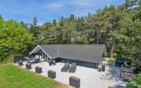 Hjalmara - 900M from the Sea: Pflanzengemeinschaft, Sonnenlicht, Krautige Pflanze, Garten, Plantage, Landwirtschaft, Bauernhof
