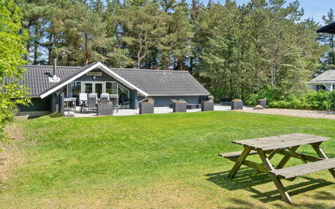 Hjalmara - 900M from the Sea: Pflanzengemeinschaft, Sonnenlicht, Krautige Pflanze, Garten, Plantage, Landwirtschaft, Bauernhof