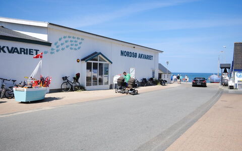 Hjalmara - 900M from the Sea: Parkplatz, Fahrrad-Rad
