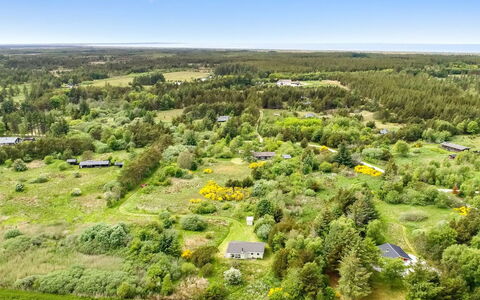 Aameek - 3Km from the Sea: Pflanzengemeinschaft, Sonnenlicht, Krautige Pflanze, Garten, Plantage, Landwirtschaft, Bauernhof