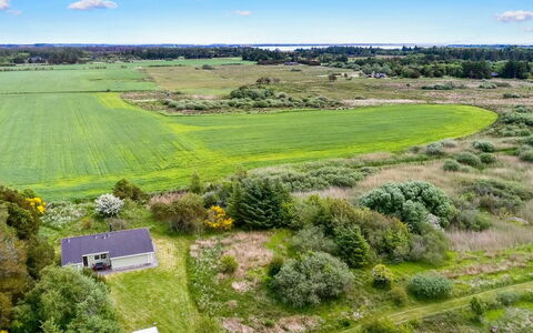 Aameek - 3Km from the Sea: Pflanzengemeinschaft, Sonnenlicht, Krautige Pflanze, Garten, Plantage, Landwirtschaft, Bauernhof