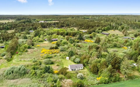 Aameek - 3Km from the Sea: Pflanzengemeinschaft, Sonnenlicht, Krautige Pflanze, Garten, Plantage, Landwirtschaft, Bauernhof