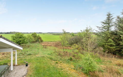 Aameek - 3Km from the Sea: Pflanzengemeinschaft, Sonnenlicht, Krautige Pflanze, Garten, Plantage, Landwirtschaft, Bauernhof