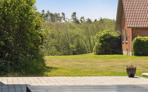 Markhild - 300M to the Fjord: Pflanzengemeinschaft, Sonnenlicht, Krautige Pflanze, Garten, Plantage, Landwirtschaft, Bauernhof