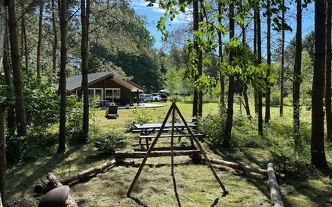 Aman - 700M to the Fjord: Baum, Natürlichen Umgebung, Holz, Erholung, Wald, Kofferraum, Wald, Hain, Naturschutzgebiet