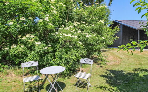 Rufina - 850M from the Sea: Strauch, Frühling, Garten, Schatten, Hinterhof, Hortensie, Rose Family, Plantage