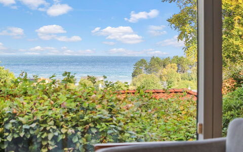 Ludewiga - 350M from the Sea: Pflanzengemeinschaft, Sonnenlicht, Krautige Pflanze, Garten, Plantage, Landwirtschaft, Bauernhof