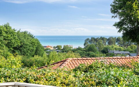 Ludewiga - 350M from the Sea: Himmel, Blau, Grün, Strauch, Pflanzengemeinschaft, Ozean, Schatten, Eco Hotel, Landscaping, Zaun