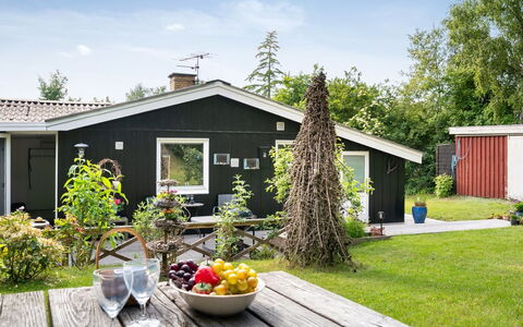 Reika - 1Km from the Sea: Haus, Zuhause, Strauch, Hütte, Dach, Grundstueck, Garten, Ground, Rasen, Abstellgleis