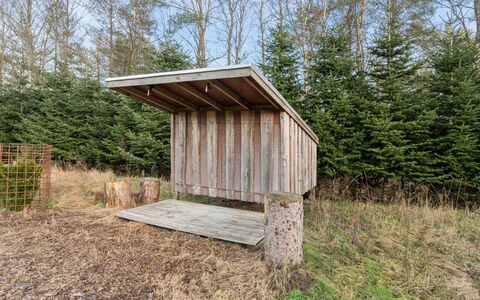 Toska: Flooring, Wand, Fussboden, Interior Design, Holz, Decke, Holzboden, Beleuchtung, Möbel, Laminatboden