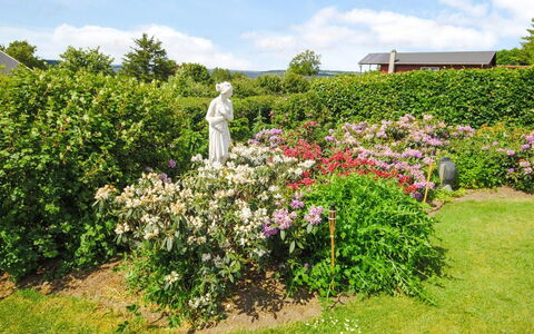Annabeth - 300M to the Fjord: Blume, Garten, Strauch, Rosa, Pflanzengemeinschaft, Ground, Frühling, Blühende Pflanze, Lila