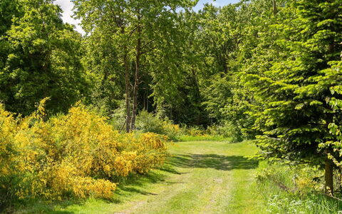 Gunward - 1.5Km from the Sea: Wohngebiet, Dach, Vorort, Auffahrt, Estate, Kamin