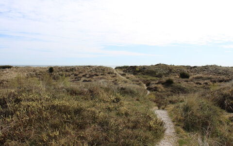 Alexi - 150M from the Sea: Himmel, Gras, Natürlichen Umgebung, Vegetation, Wiese, Ökoregion, Horizont, Pflanzengemeinschaft, Shrubland, Wildnis