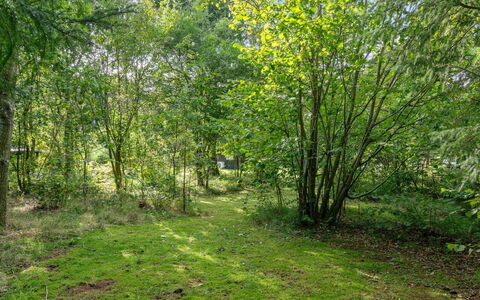 Arnborg - 2Km from the Sea: Die Architektur, Dach, Zuhause, Verbundwerkstoff, Daylighting, Abstellgleis, Auffahrt