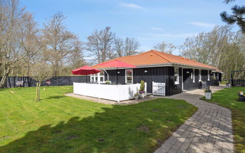 Alla - 500M from the Sea: Pflanzengemeinschaft, Sonnenlicht, Krautige Pflanze, Garten, Plantage, Landwirtschaft, Bauernhof