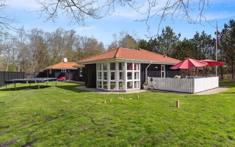 Alla - 500M from the Sea: Pflanzengemeinschaft, Sonnenlicht, Krautige Pflanze, Garten, Plantage, Landwirtschaft, Bauernhof