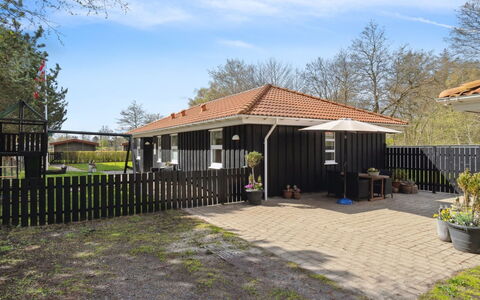 Alla - 500M from the Sea: Pflanzengemeinschaft, Sonnenlicht, Krautige Pflanze, Garten, Plantage, Landwirtschaft, Bauernhof