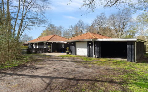 Alla - 500M from the Sea: Pflanzengemeinschaft, Sonnenlicht, Krautige Pflanze, Garten, Plantage, Landwirtschaft, Bauernhof