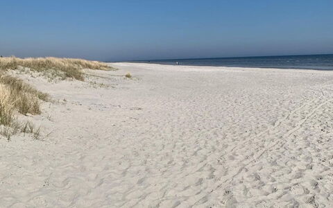 Veiko - 1.2Km from the Sea: Holz, Zuhause, Veranda, Deck, Hartholz, Dach, Holzbeize, Holzboden, Eco Hotel