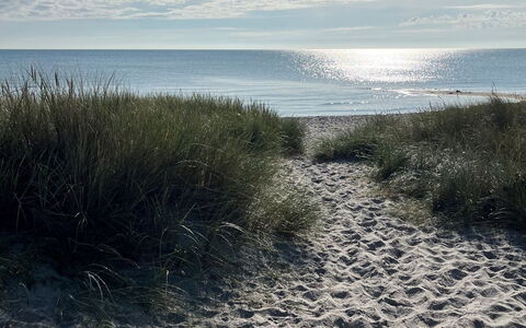 Veiko - 1.2Km from the Sea: Holz, Zuhause, Veranda, Deck, Hartholz, Dach, Holzbeize, Holzboden, Eco Hotel