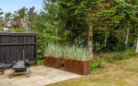 Mea - from the Sea: Holz, Strauch, Pflanzengemeinschaft, Garten, Hinterhof, Hartholz, Landscaping, Planke, Immergrün