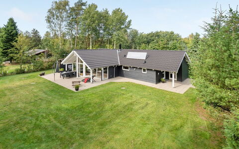 Agved - 1.5Km from the Sea: Pflanzengemeinschaft, Sonnenlicht, Krautige Pflanze, Garten, Plantage, Landwirtschaft, Bauernhof
