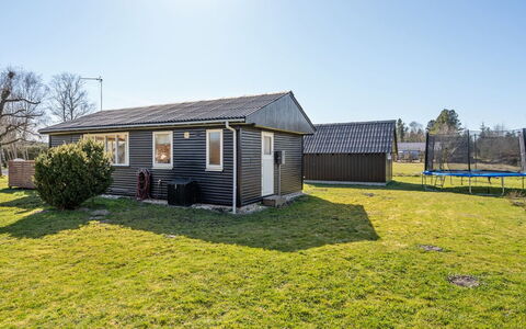 Julla - 1.5Km from the Sea: Pflanzengemeinschaft, Sonnenlicht, Krautige Pflanze, Garten, Plantage, Landwirtschaft, Bauernhof