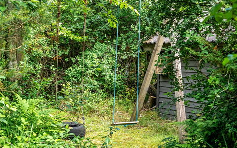 Jaakob - 4Km from the Sea: Grün, Blatt, Holz, Vegetation, Strauch, Pflanzengemeinschaft, Garten, Ground, Naturschutzgebiet, Dschungel
