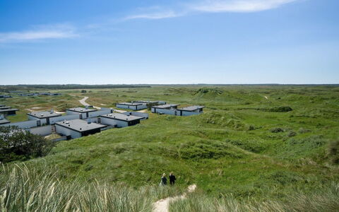 Ingomar - 300M from the Sea: Gras, Wiese, Ökoregion, Einfach, Grundstueck, Landschaft, Pflanzengemeinschaft, Prärie, Steppe, Weide