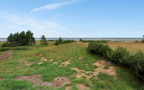 Hane - 150M from the Sea: Gras, Vegetation, Wiese, Ökoregion, Einfach, Pflanzengemeinschaft, Grundstueck, Shrubland, Weide